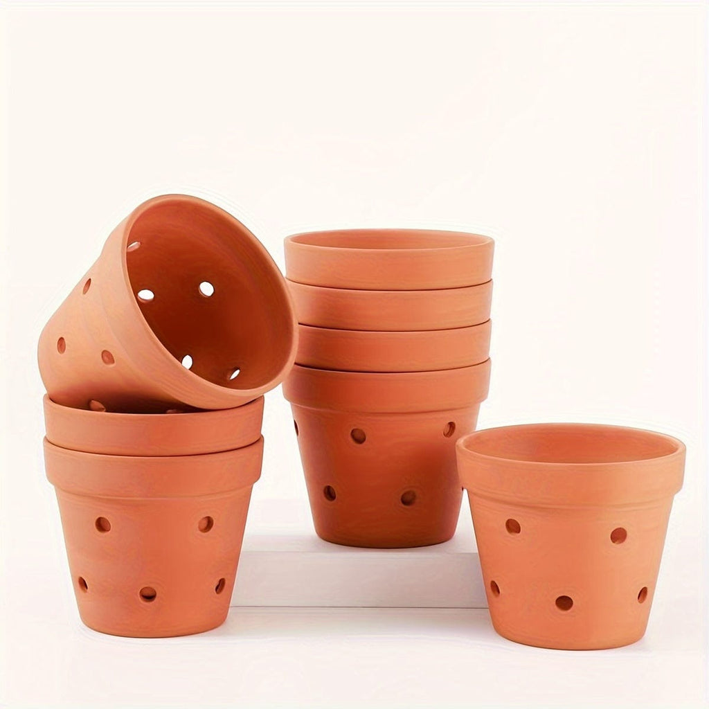 Ma boutique D12 | H10cm / 8 petit pot de fleur terre cuite