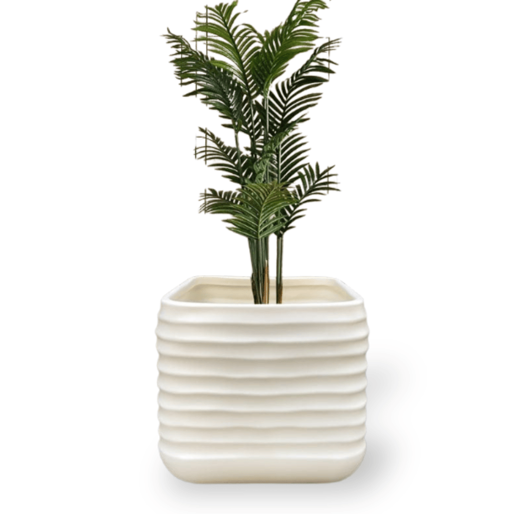 Ma boutique Pot carre plastique pour plante