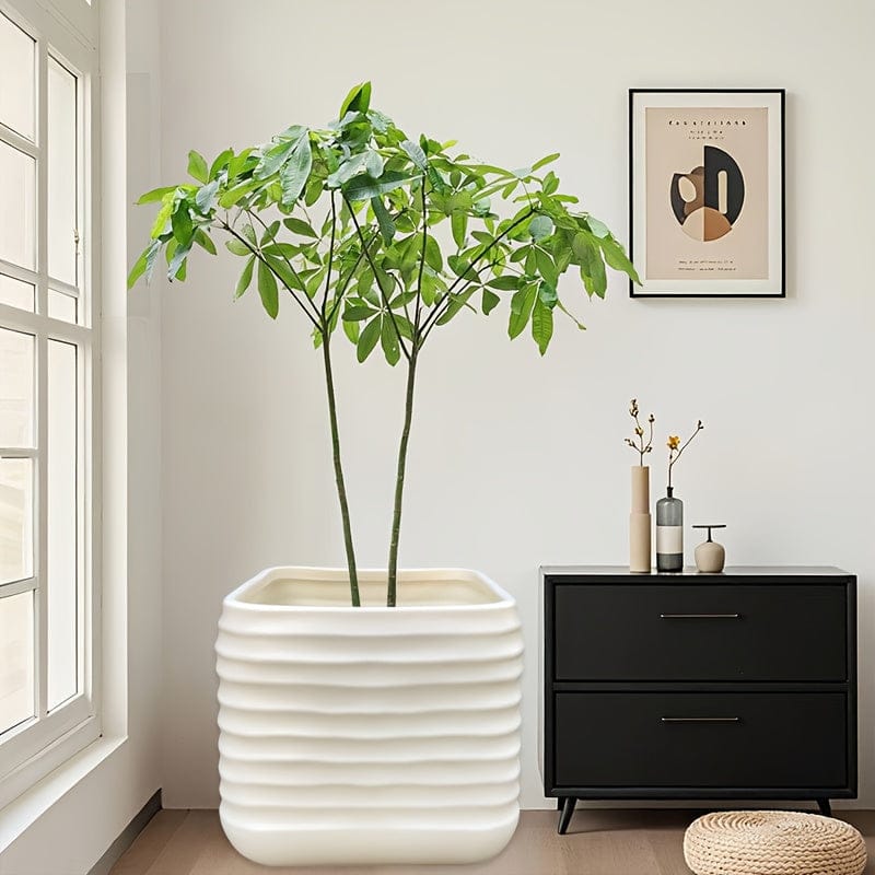 Ma boutique Pot carre plastique pour plante