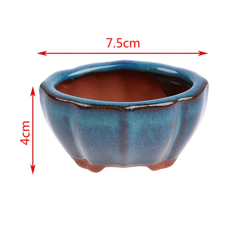 Ma boutique pot céramique bonsai bleu