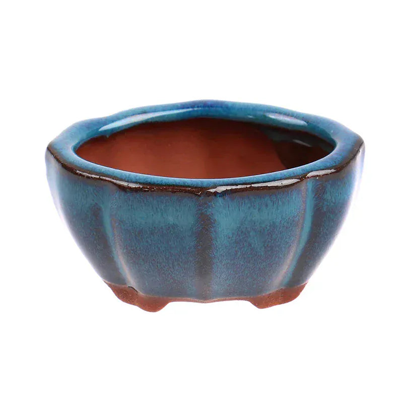 Ma boutique pot céramique bonsai bleu