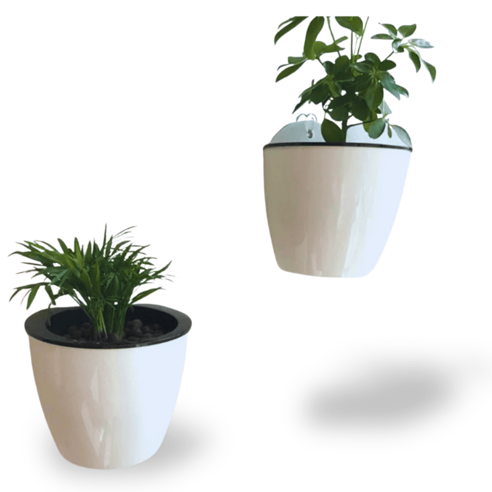 Ma boutique Pot en plastique mural pour plante
