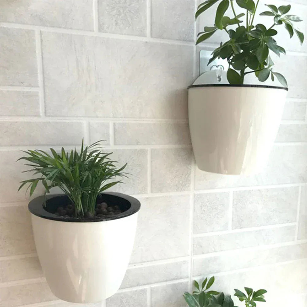 Ma boutique B180 Pot en plastique mural pour plante