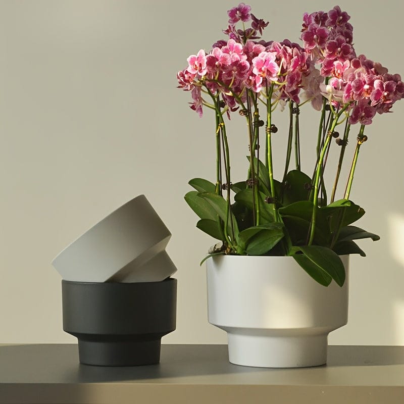Ma boutique Pot en plastique pour orchidée