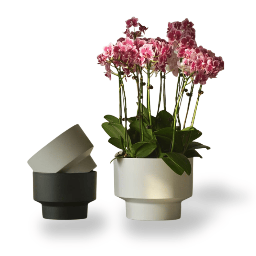Ma boutique Pot en plastique pour orchidée