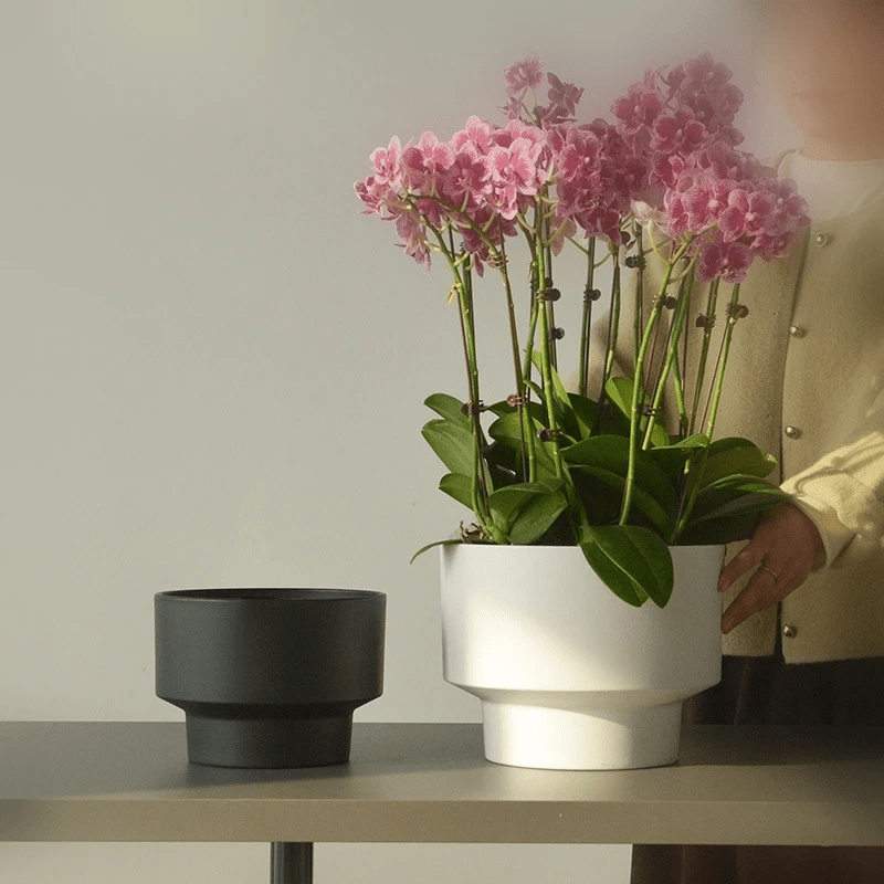 Ma boutique Pot en plastique pour orchidée