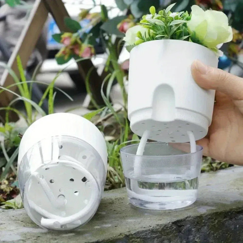 Ma boutique Pot en plastique transparent pour plantes