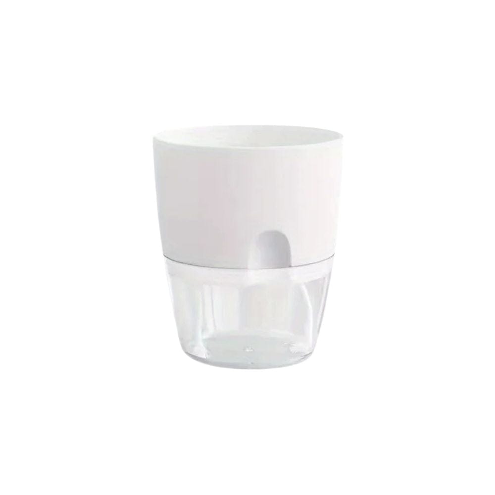 Ma boutique Pot en plastique transparent pour plantes