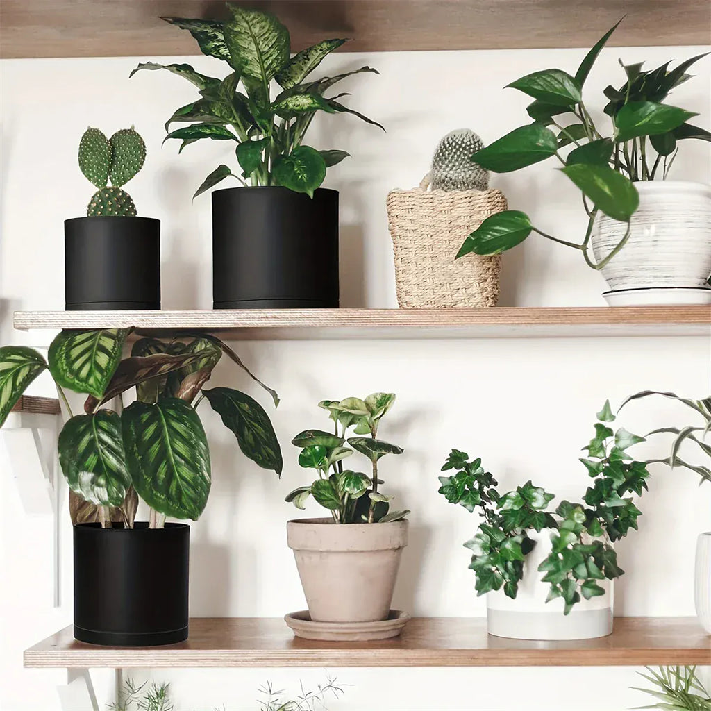 Ma boutique Les 3 cache-pots Pot plastique noir plante