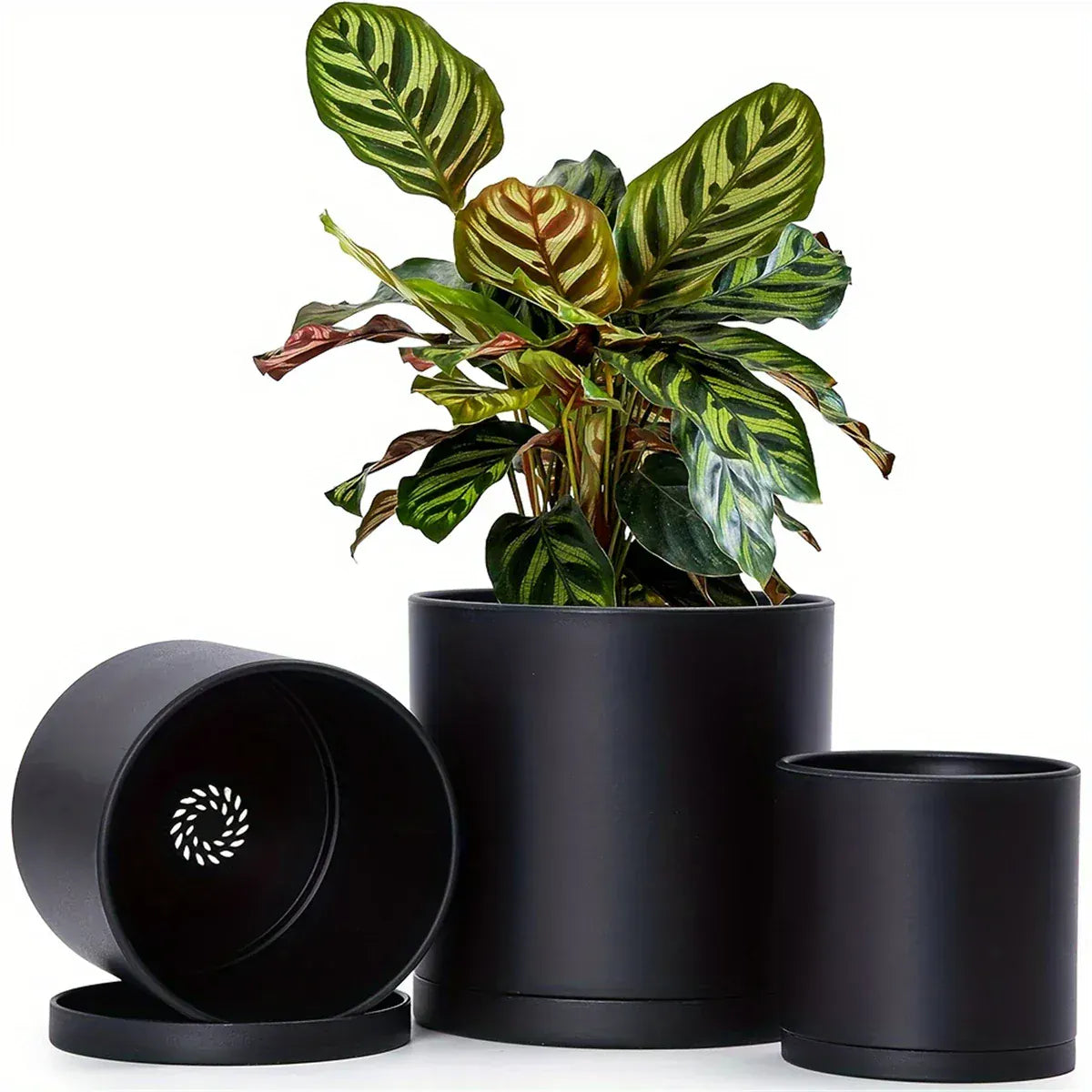 Ma boutique Les 3 cache-pots Pot plastique noir plante