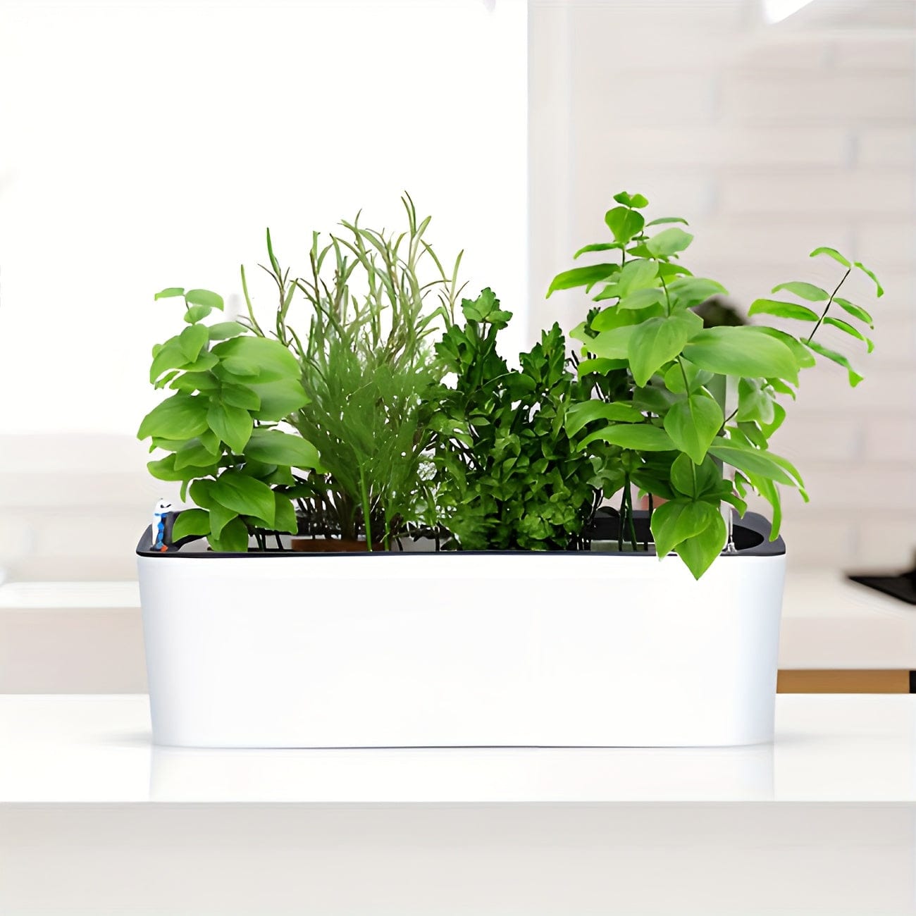 Ma boutique pot plastique plante rectangulaire