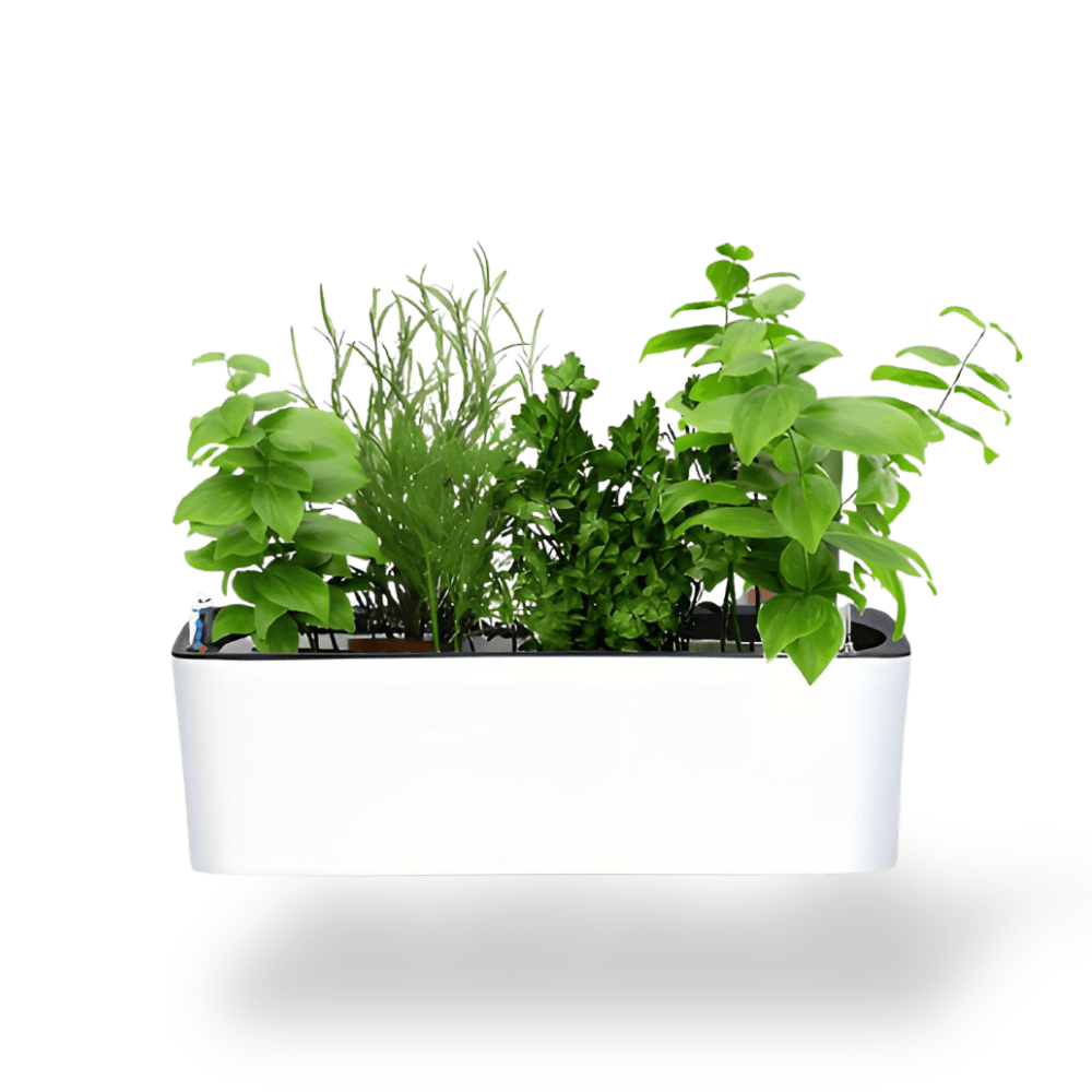 Ma boutique pot plastique plante rectangulaire