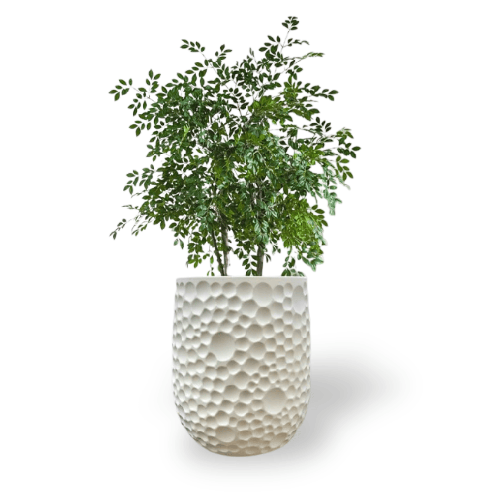 Ma boutique Pot plastique plante xxl