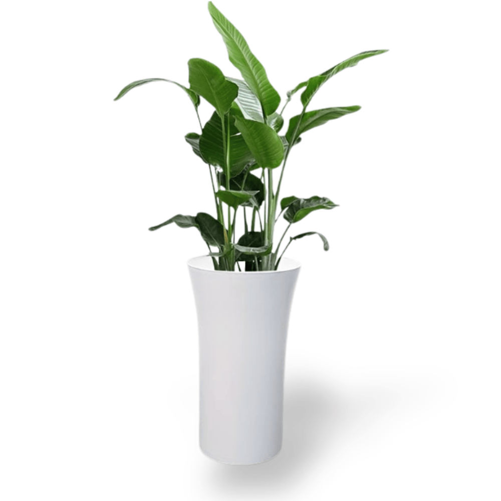 Ma boutique pot pour plante en plastique interieur