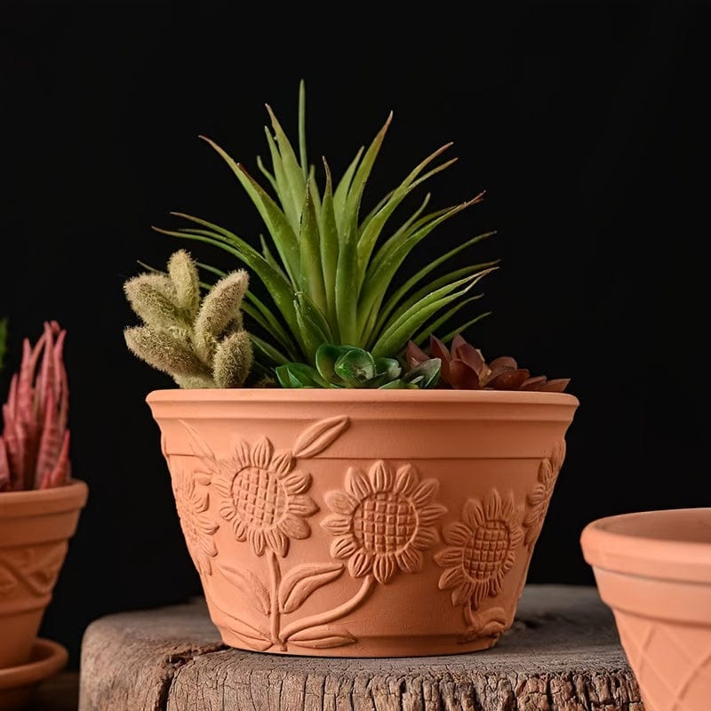Ma boutique 2 pot pour plante en terre cuite