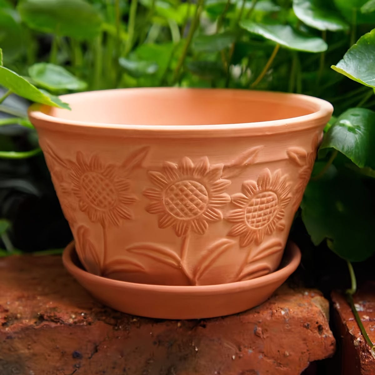 Ma boutique 2 pot pour plante en terre cuite