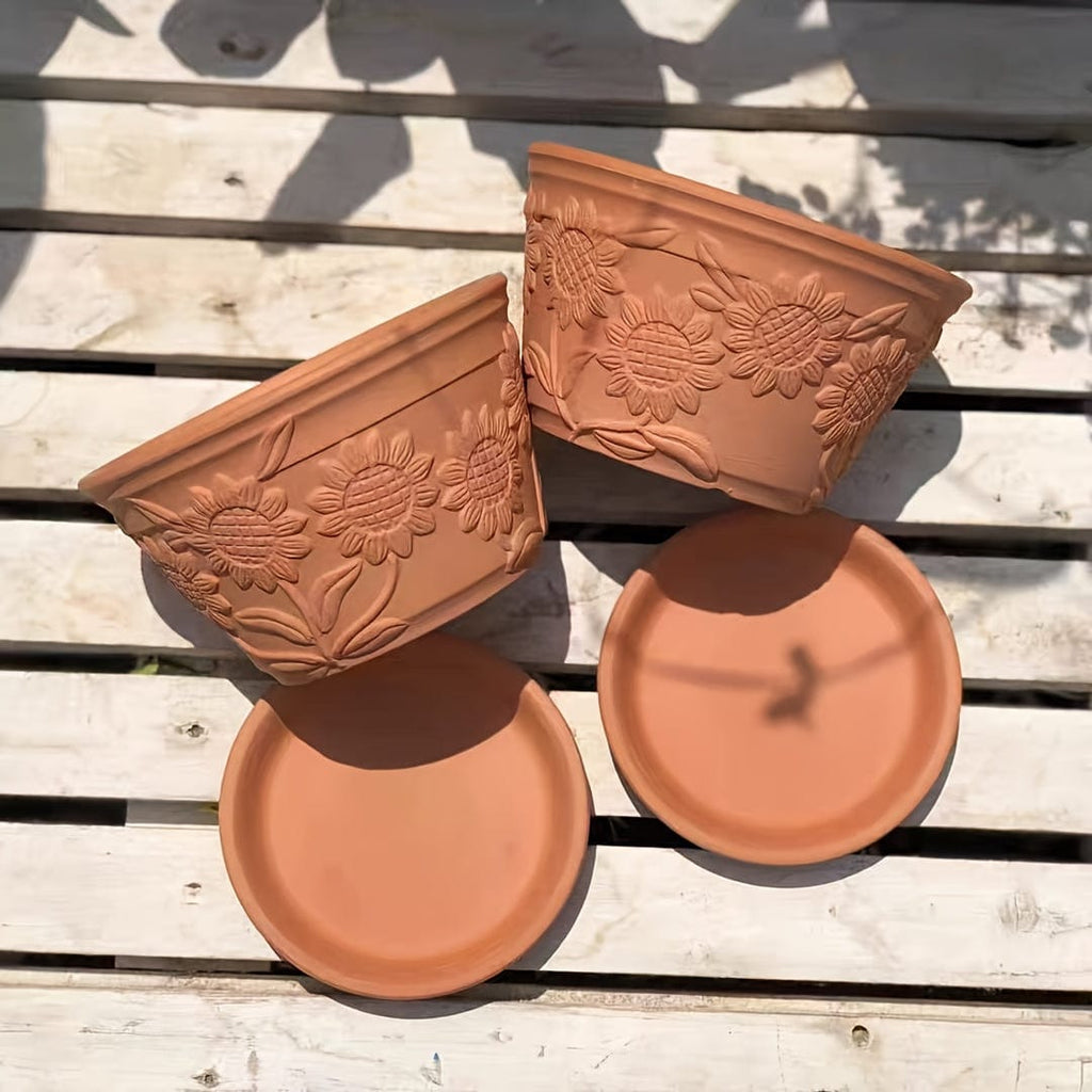 Ma boutique 2 pot pour plante en terre cuite