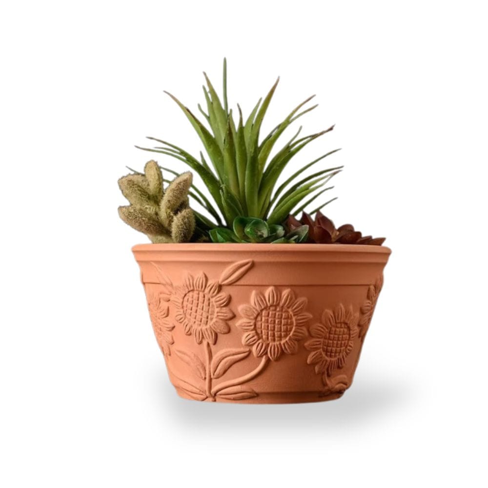 Ma boutique 2 pot pour plante en terre cuite